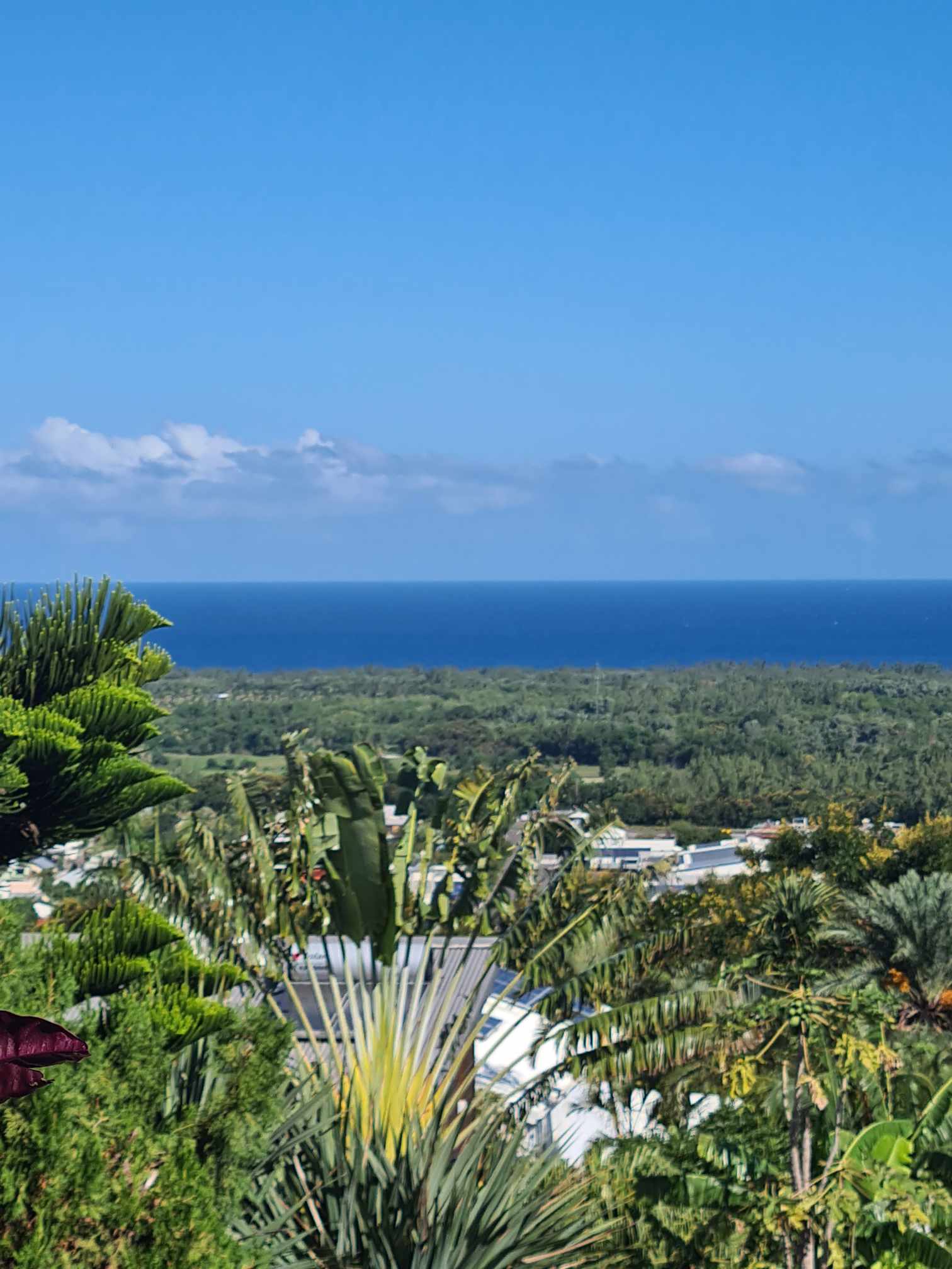 Vue sur l'océan depuis le jardin tropical